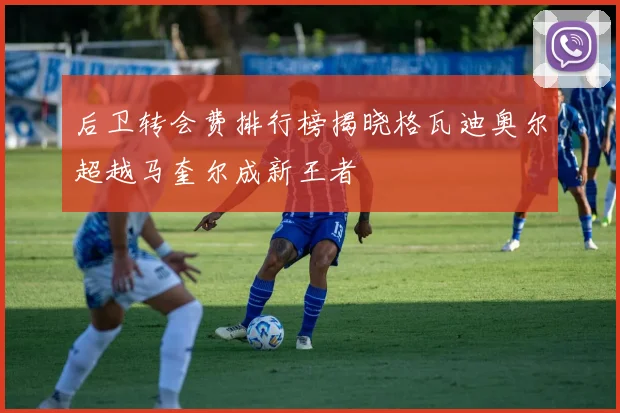 后卫转会费排行榜揭晓格瓦迪奥尔超越马奎尔成新王者